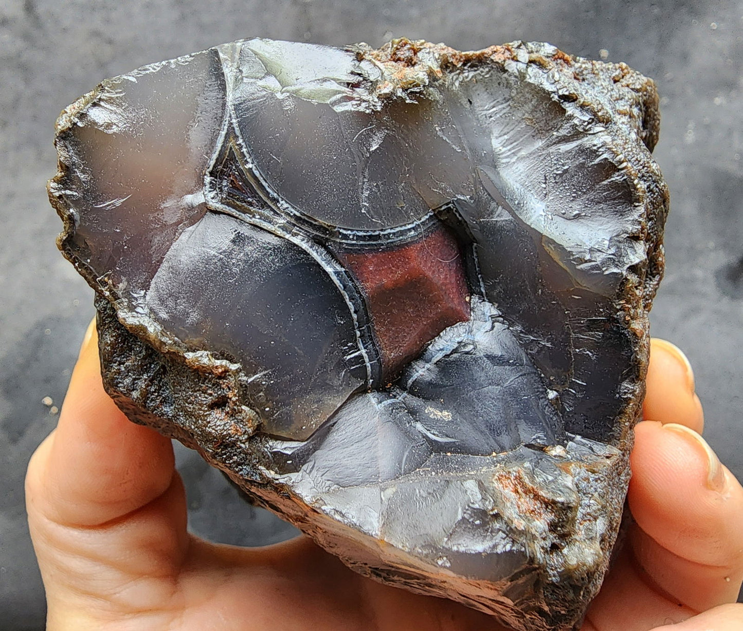 Thunder Egg Agate - We❤️Rocks