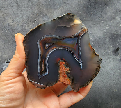 Thunder Egg Agate - We❤️Rocks