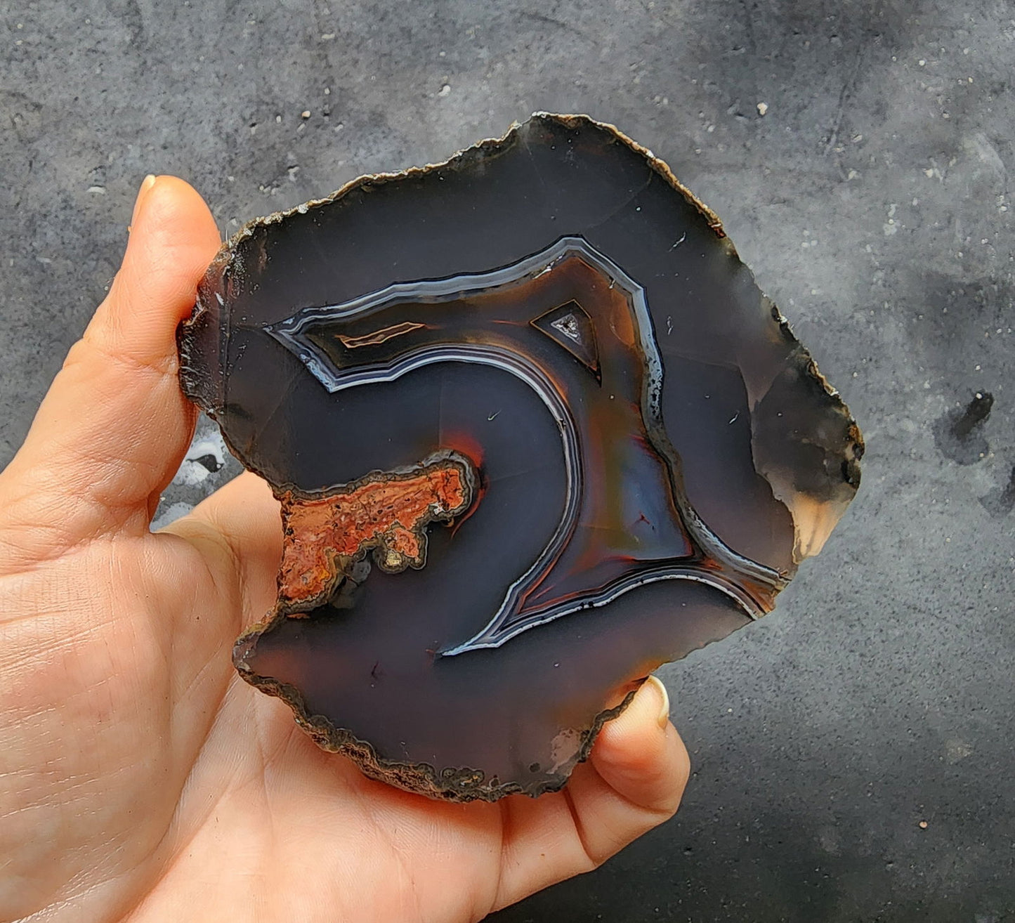 Thunder Egg Agate - We❤️Rocks