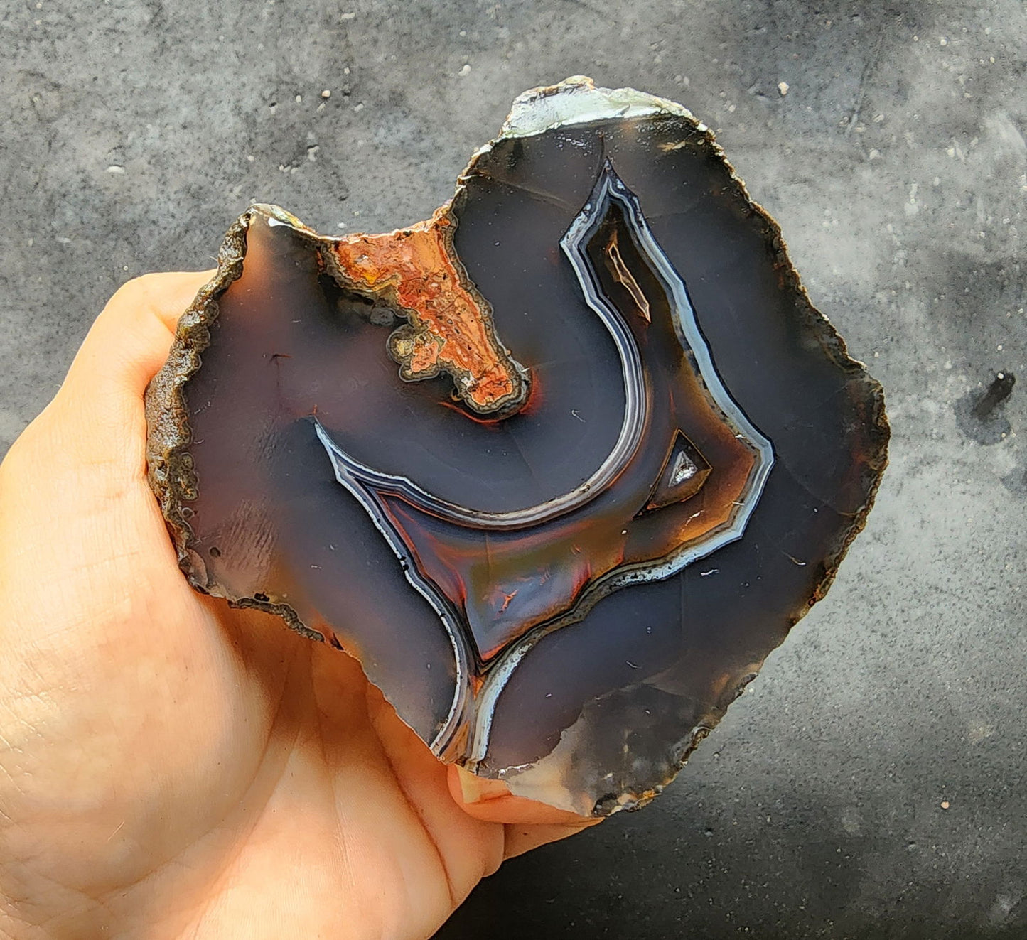 Thunder Egg Agate - We❤️Rocks