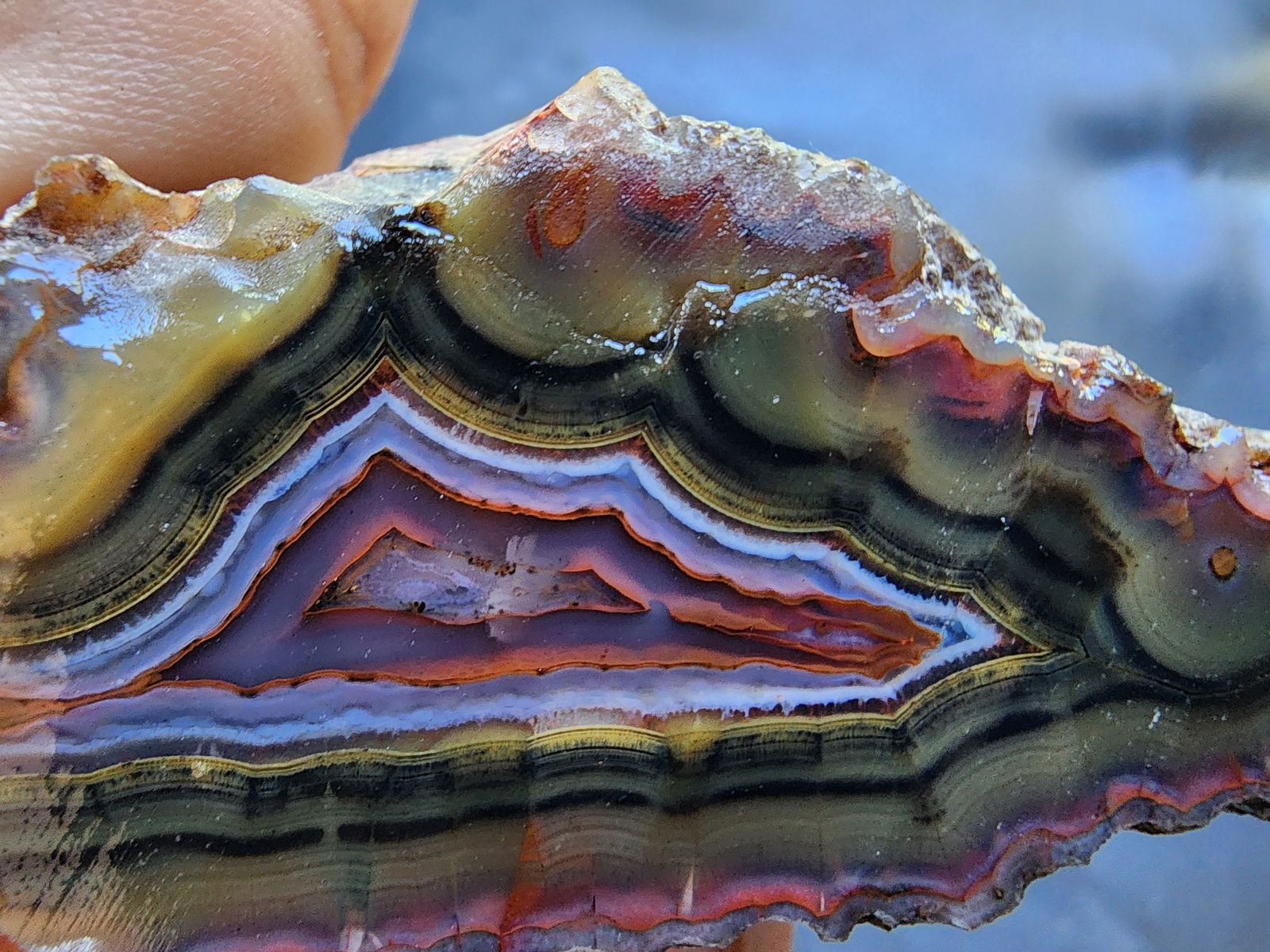 Outlets Blue Banded Agate, Turkish Stick Agate, Crystal Agate, Cut and Polished Turkish Agate Pair, North Ankara Raw and Rough Mineral Specimen.