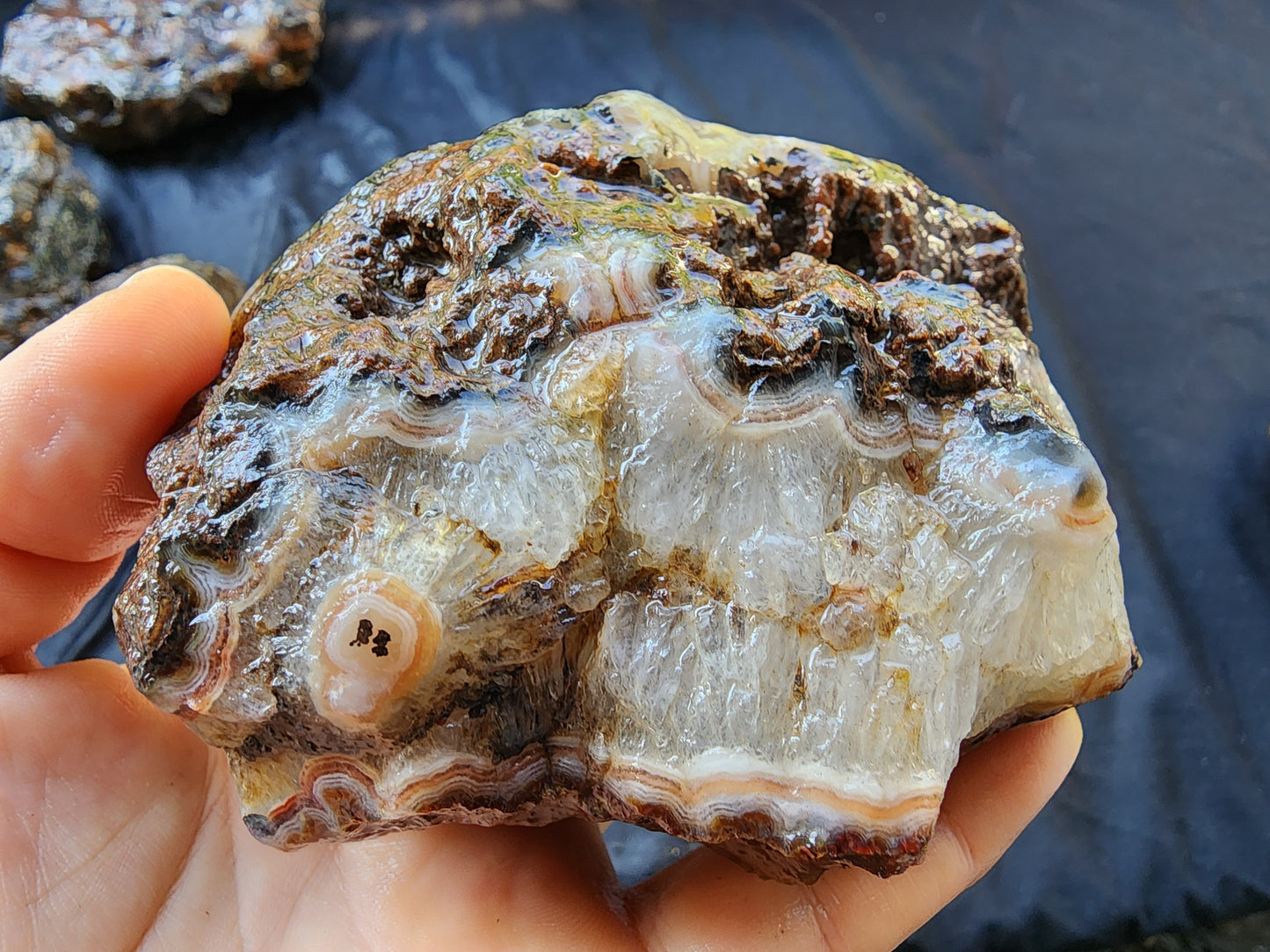 Rough Agate Nodules