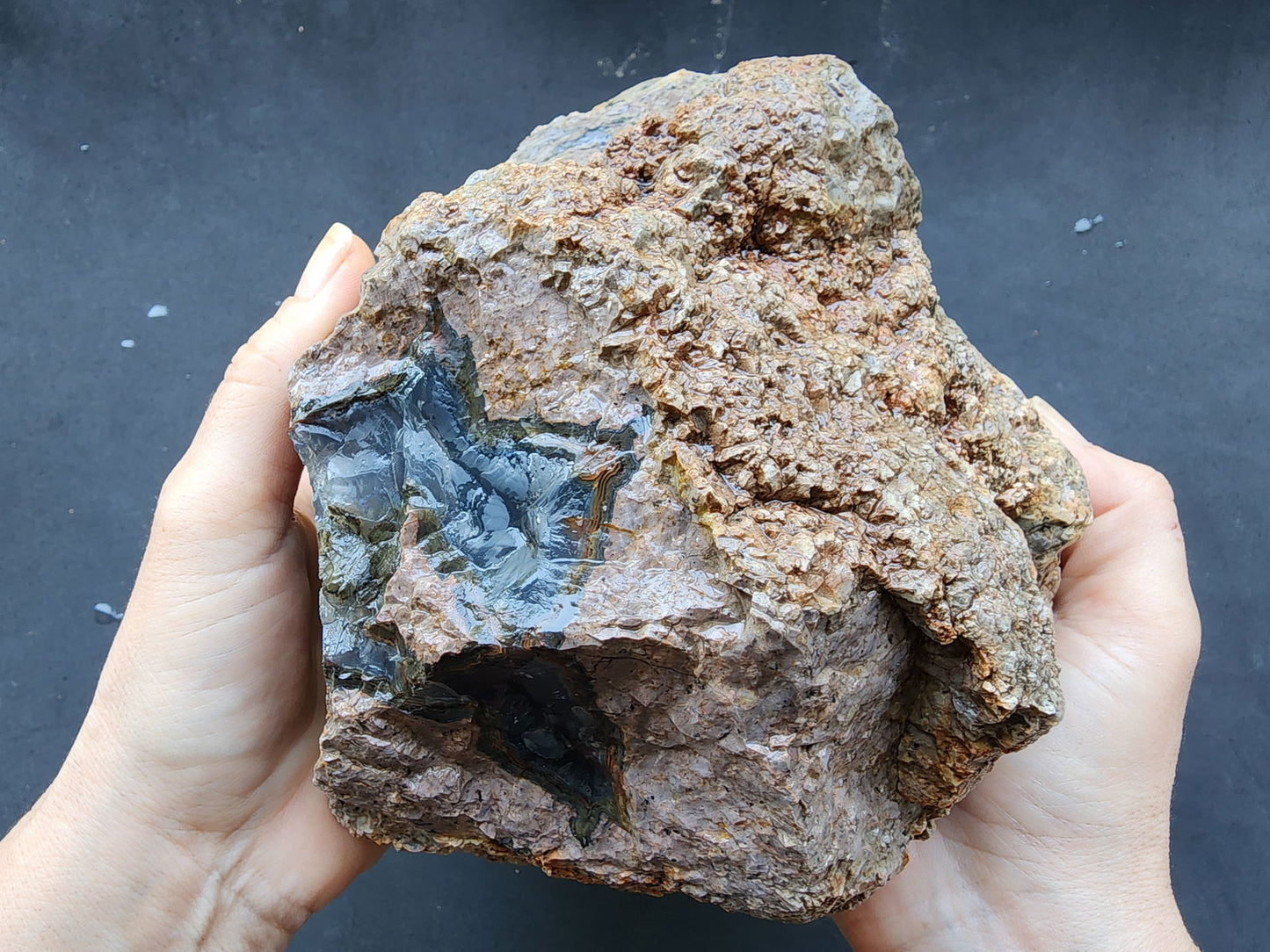 Uncut Huge Thunderegg - We❤️Rocks