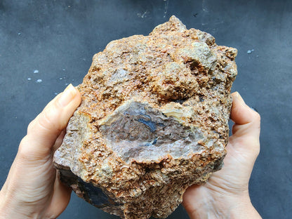 Uncut Huge Thunderegg - We❤️Rocks