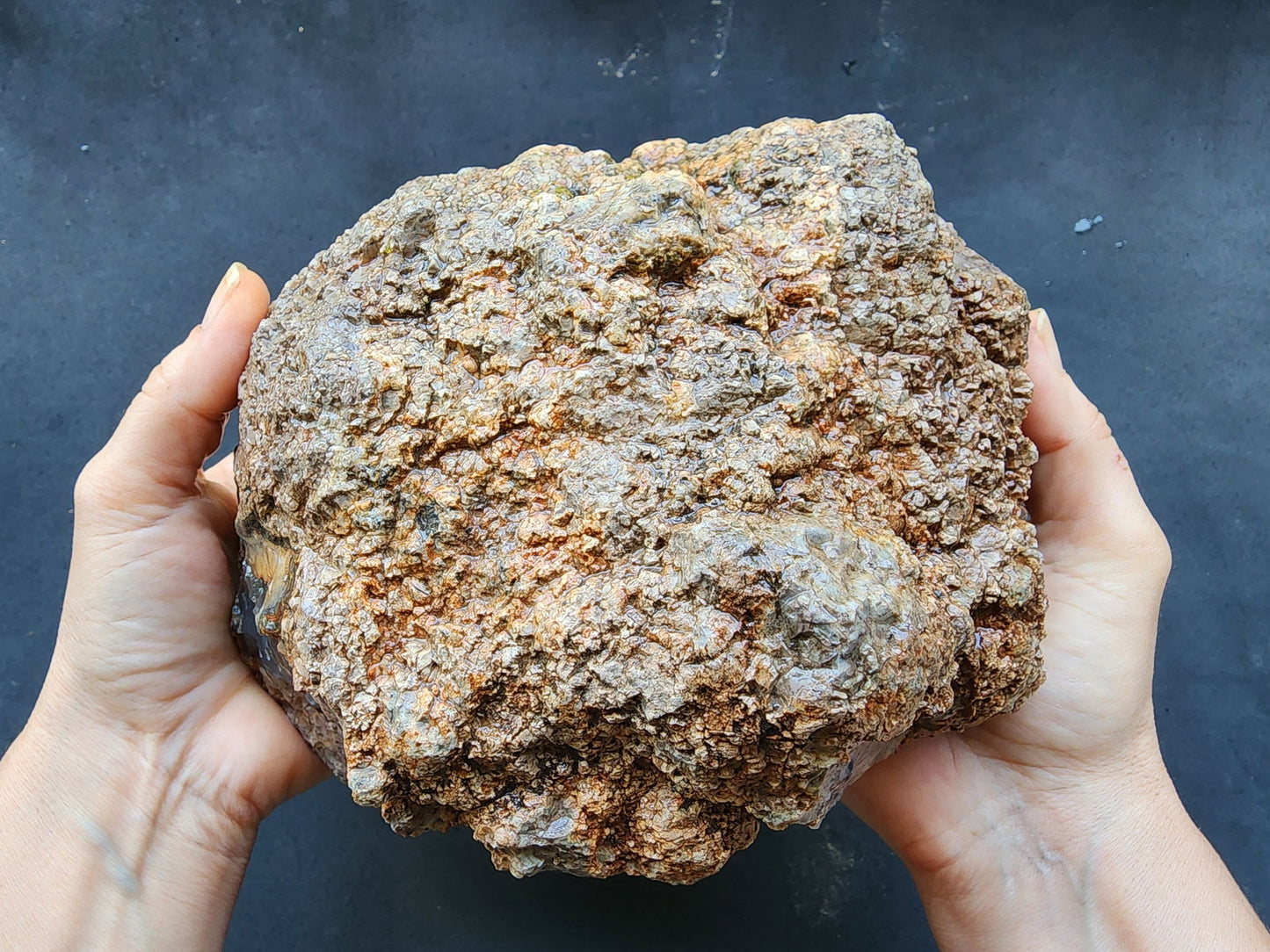 Uncut Huge Thunderegg - We❤️Rocks