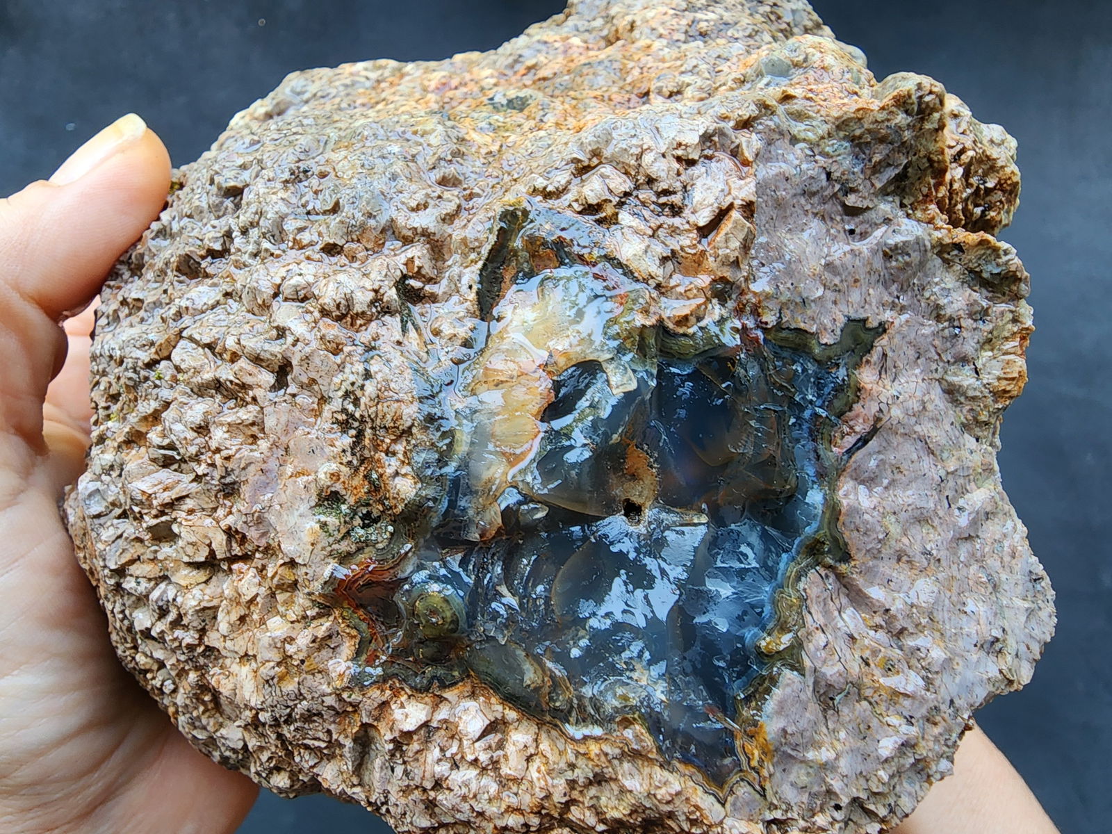 Uncut Huge Thunderegg - We❤️Rocks