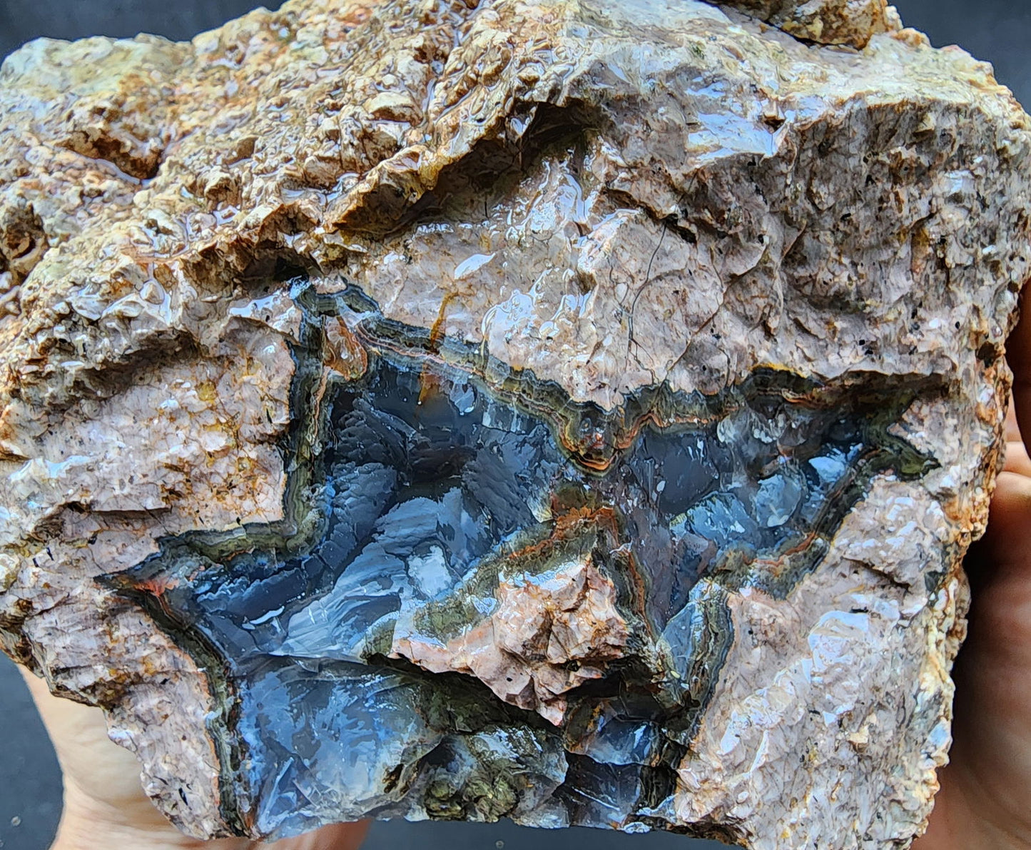 Uncut Huge Thunderegg - We❤️Rocks