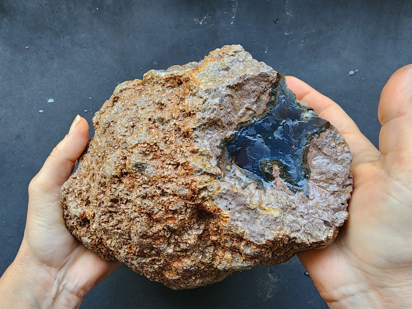 Uncut Huge Thunderegg - We❤️Rocks