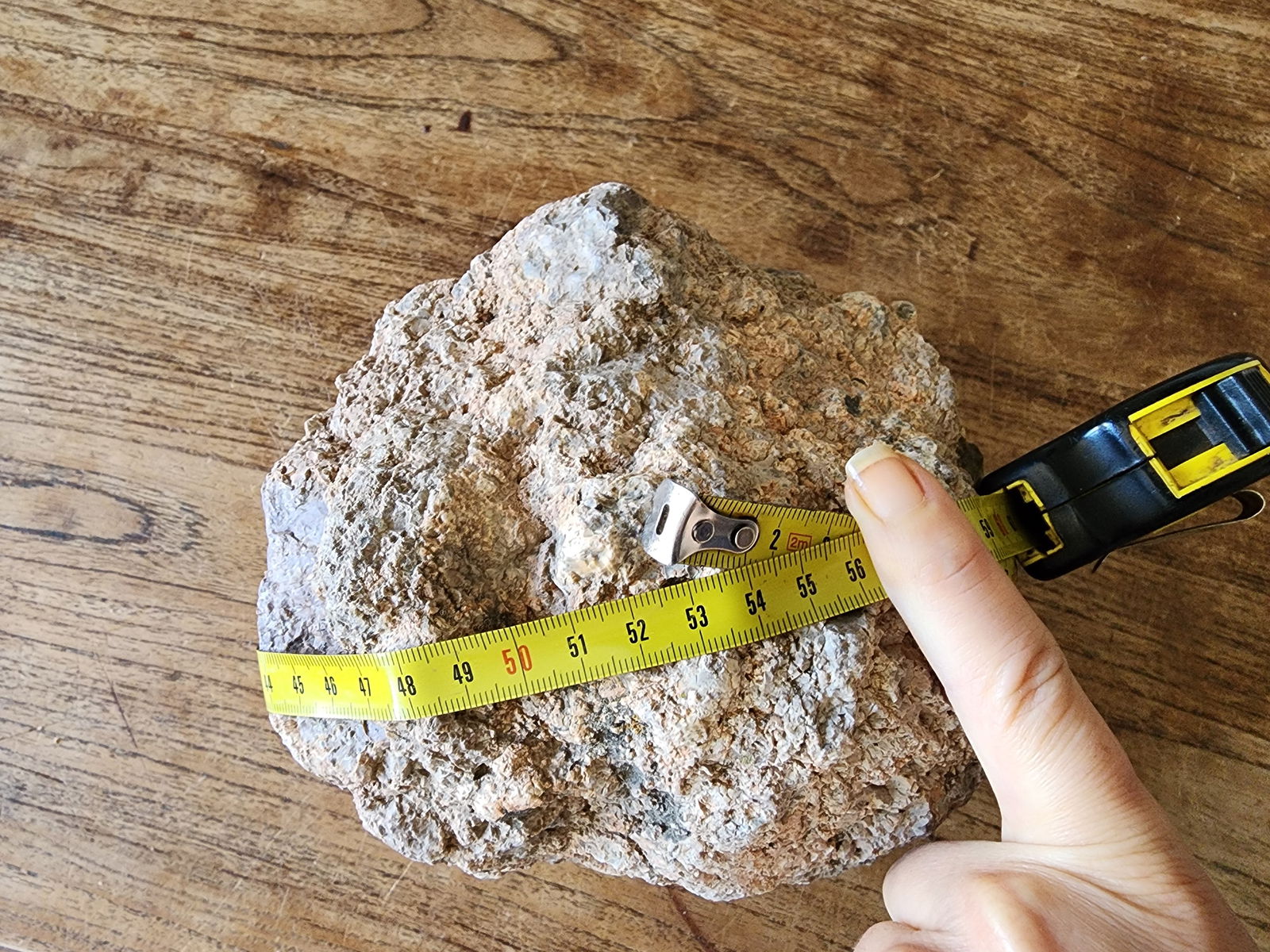 Uncut Huge Thunderegg - We❤️Rocks