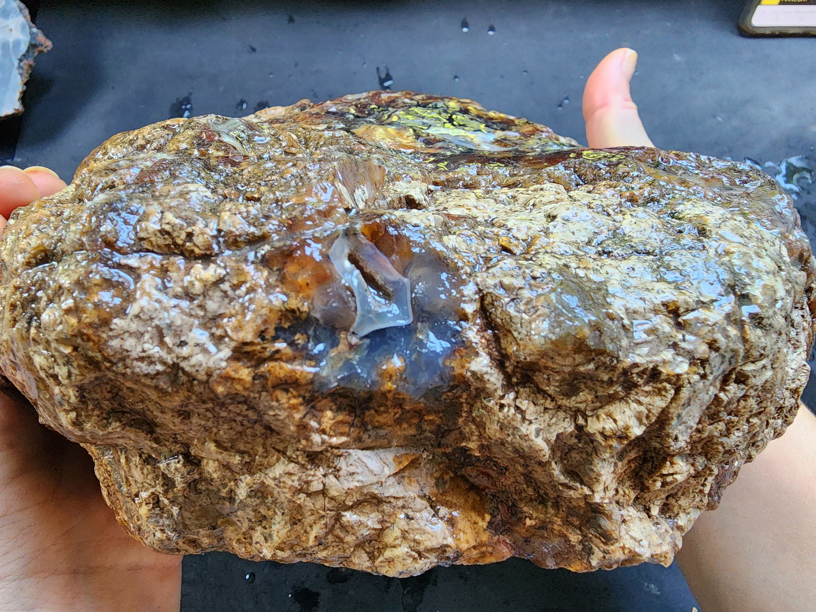 Uncut Large Agate - #tag1# - #tag2#