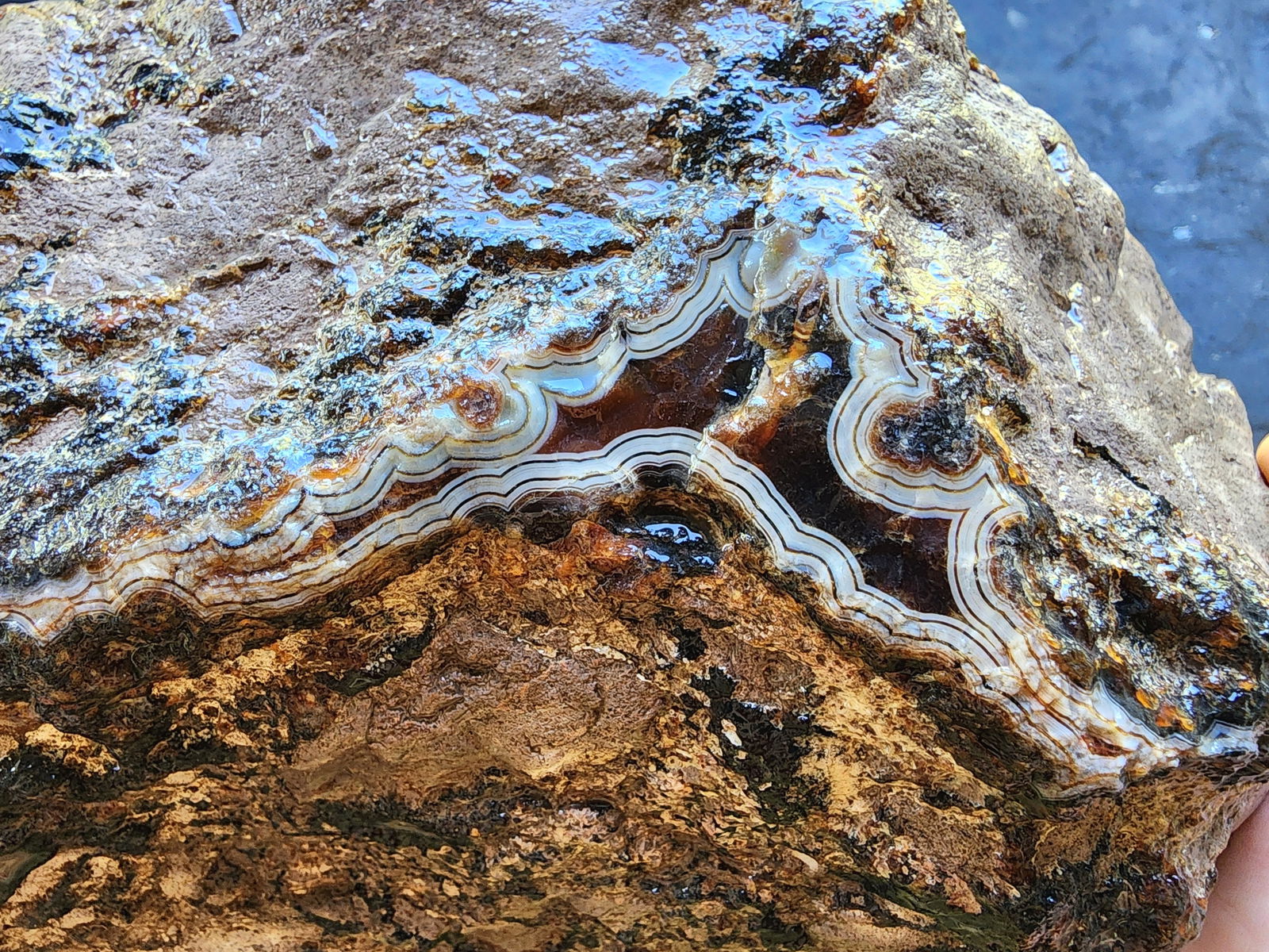 Uncut Large Thunderegg - We❤️Rocks