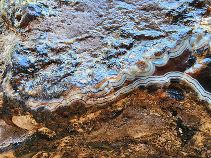 Uncut Large Thunderegg - We❤️Rocks