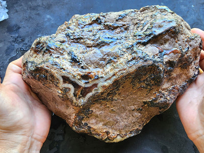 Uncut Large Thunderegg - We❤️Rocks