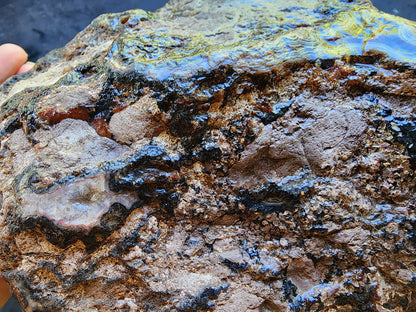 Uncut Large Thunderegg - We❤️Rocks