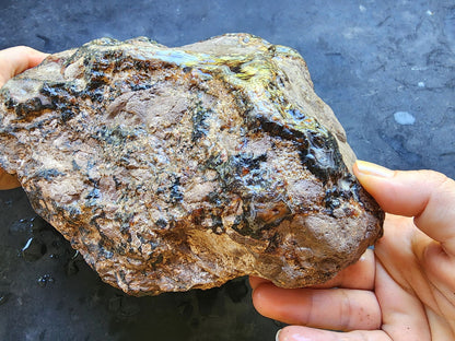 Uncut Large Thunderegg - We❤️Rocks