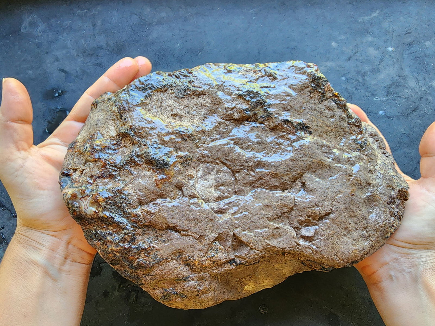 Uncut Large Thunderegg - We❤️Rocks