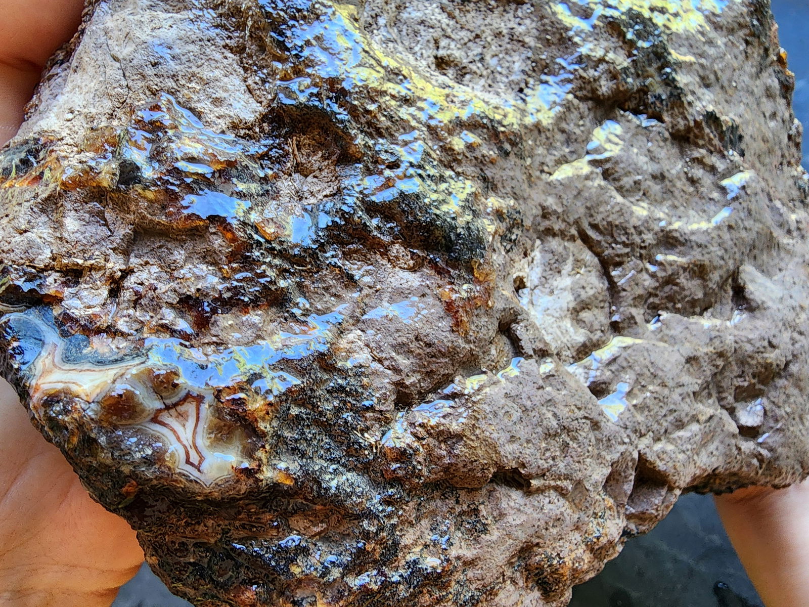 Uncut Large Thunderegg - We❤️Rocks