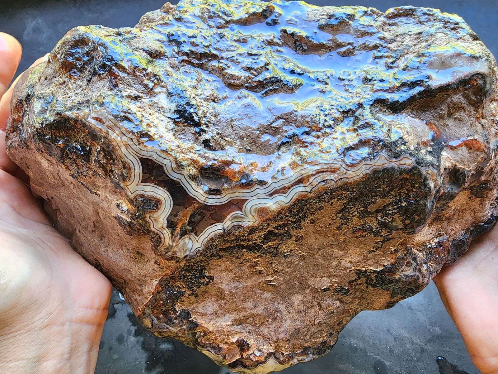 Uncut Large Thunderegg - We❤️Rocks