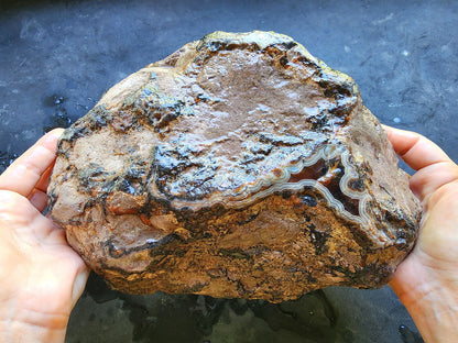 Uncut Large Thunderegg - We❤️Rocks