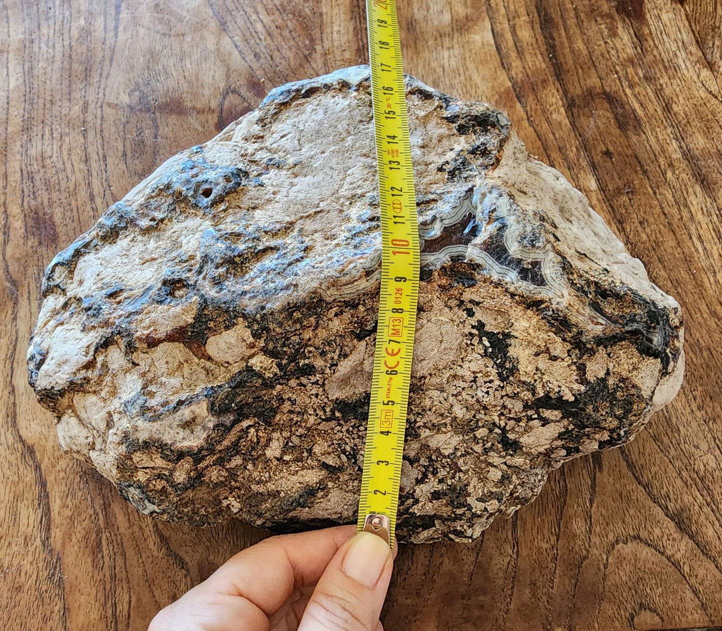 Uncut Large Thunderegg - We❤️Rocks