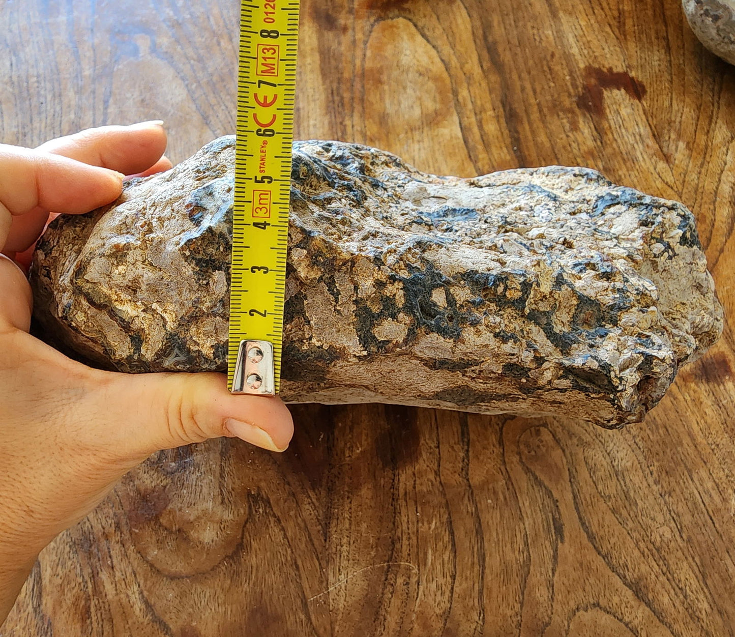 Uncut Large Thunderegg - We❤️Rocks