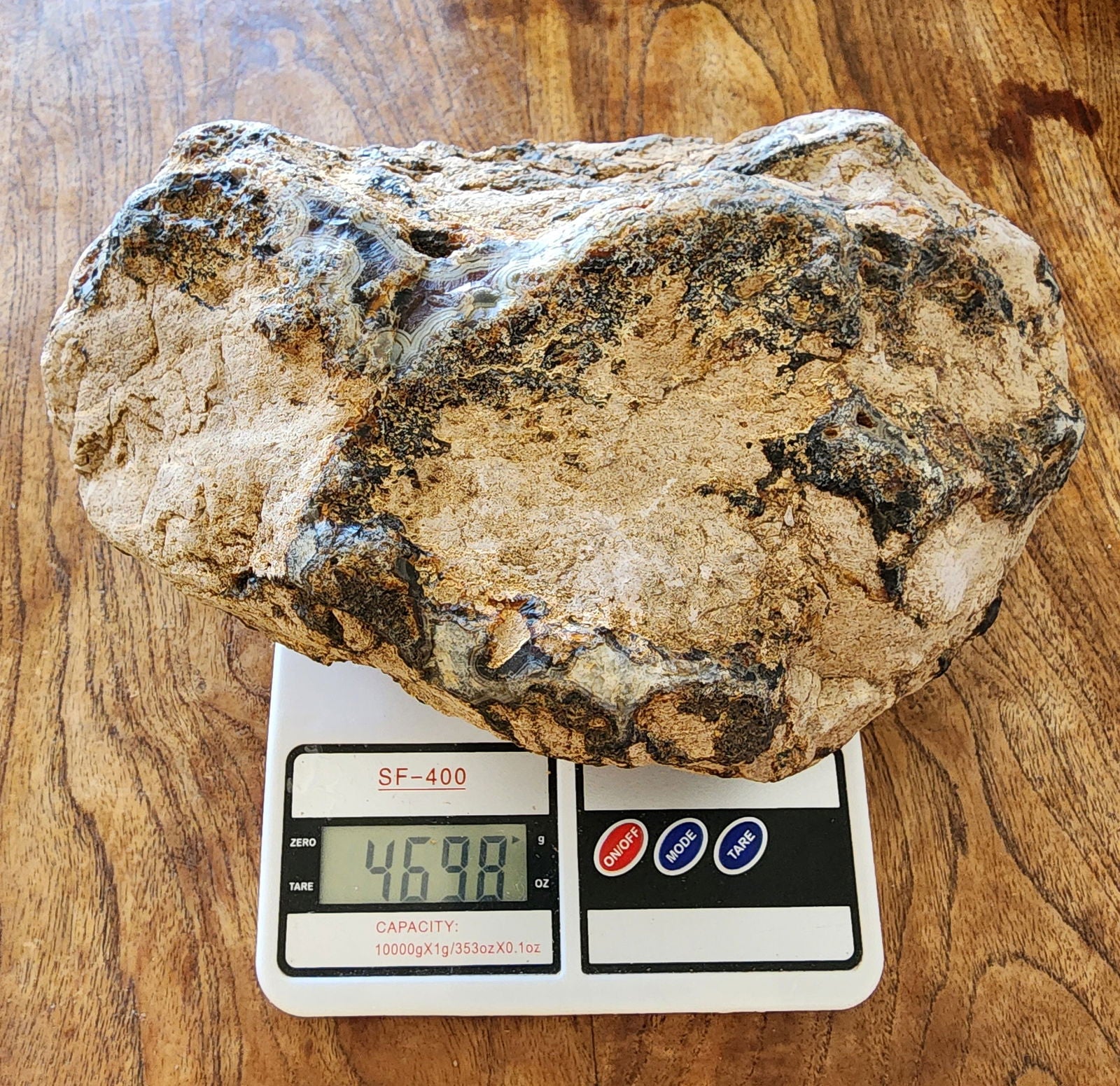 Uncut Large Thunderegg - We❤️Rocks