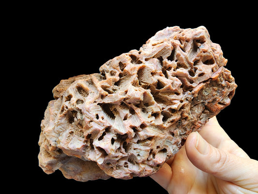 Large Decorative Rock