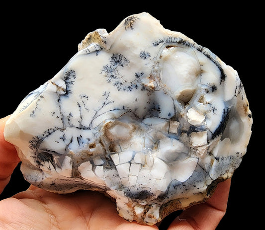 Dendritic Opal Decorative Rock