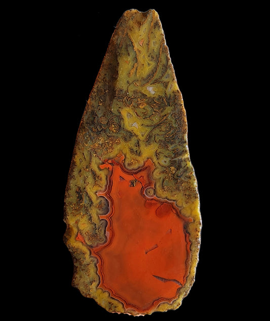 Red Agate - Red Cat