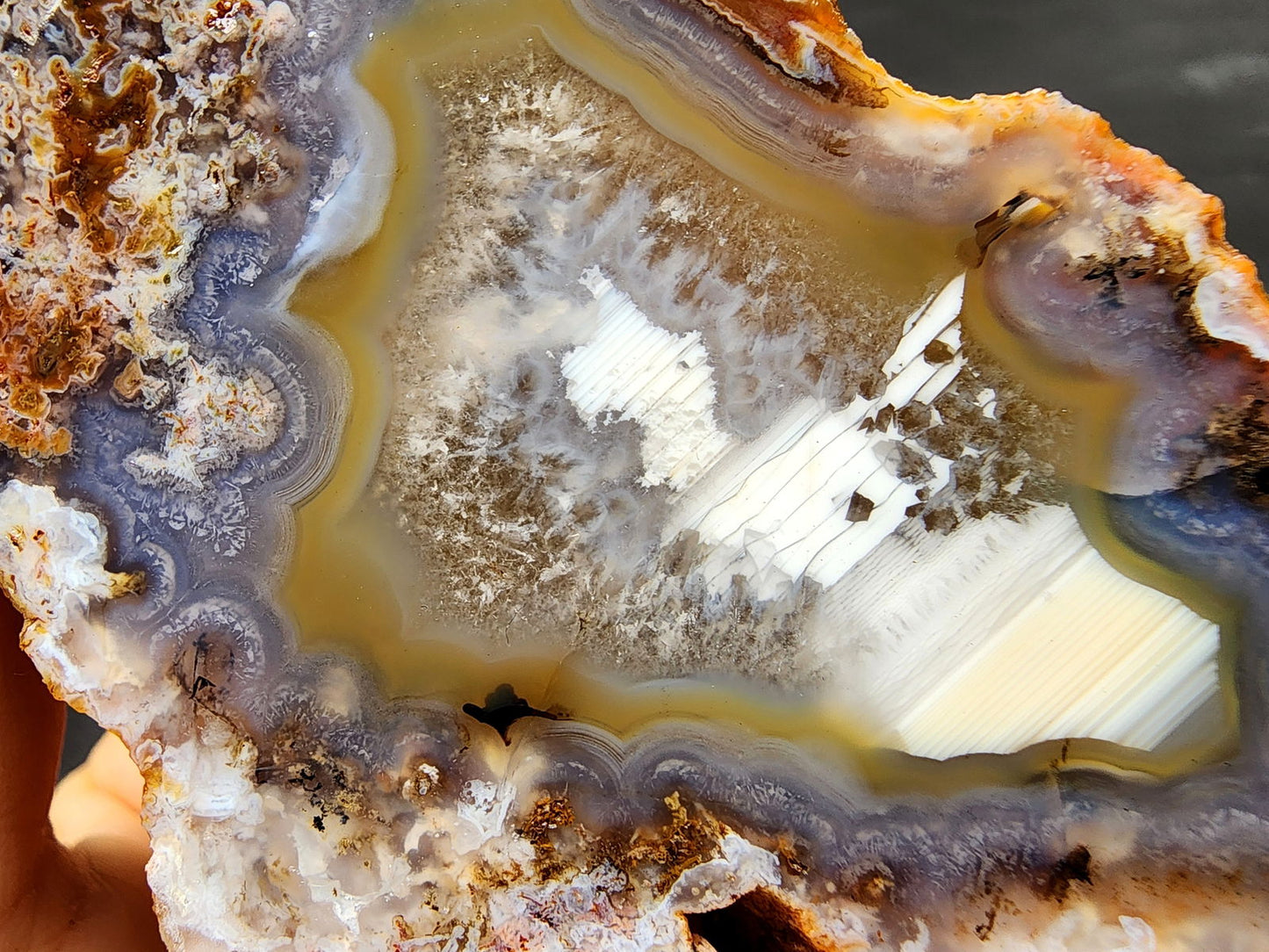 Waterline Agate - We❤️Rocks