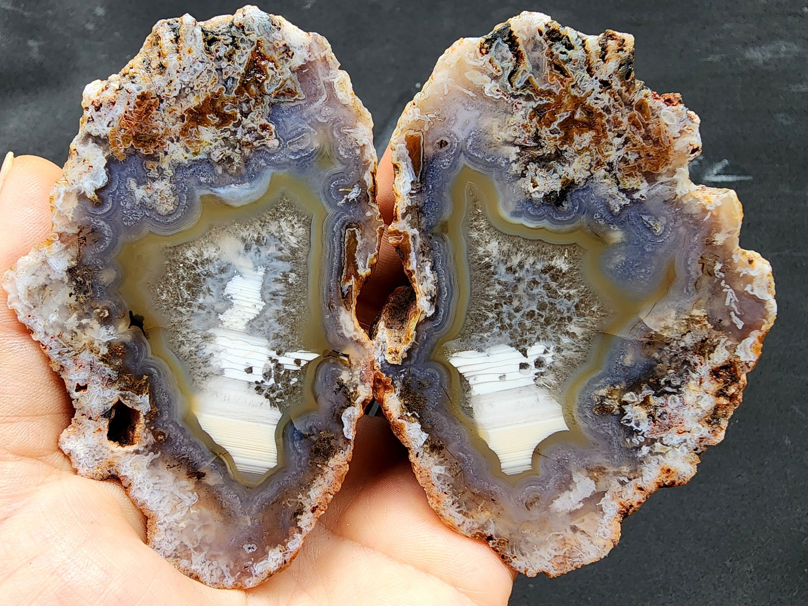 Waterline Agate - We❤️Rocks