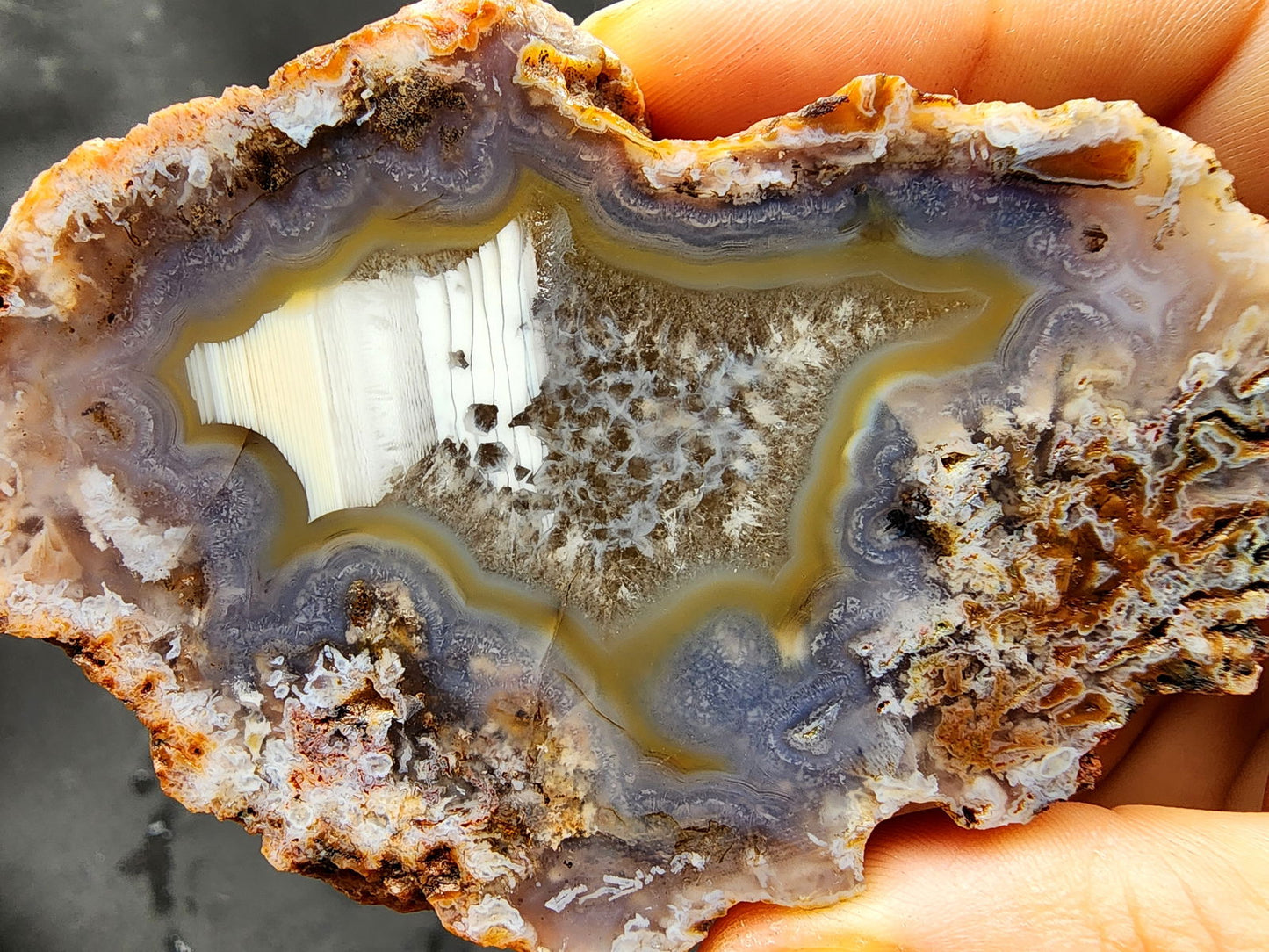 Waterline Agate - We❤️Rocks