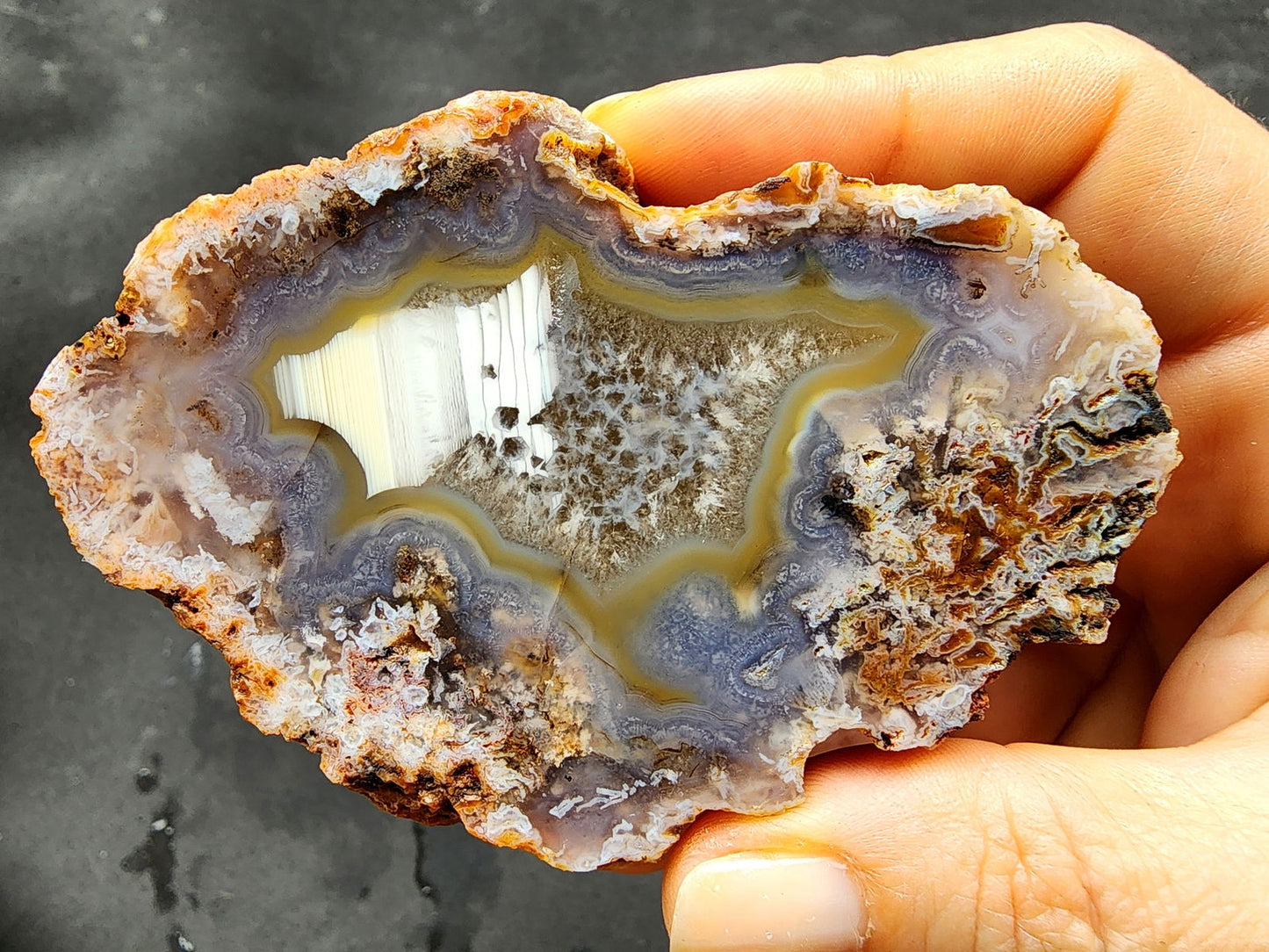 Waterline Agate - We❤️Rocks