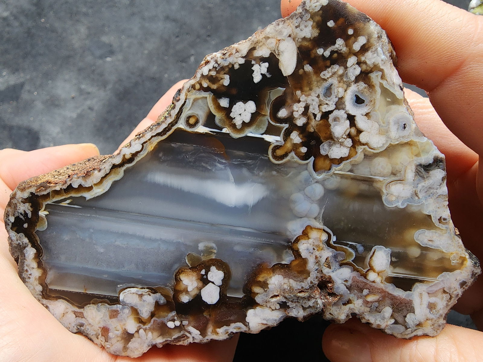 Waterline & Flower Agate - We❤️Rocks