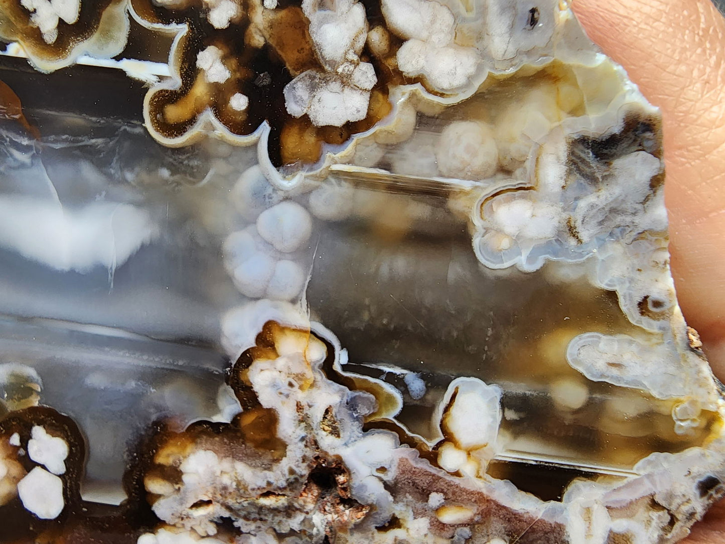 Waterline & Flower Agate - We❤️Rocks