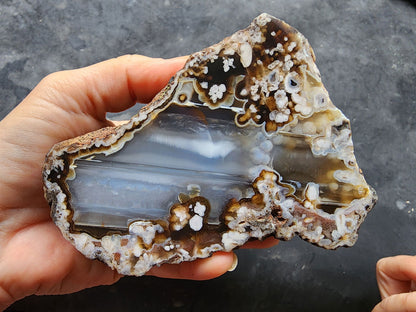 Waterline & Flower Agate - We❤️Rocks