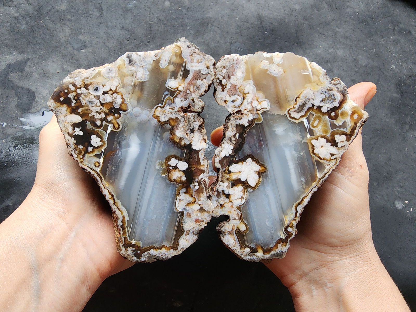 Waterline & Flower Agate - We❤️Rocks