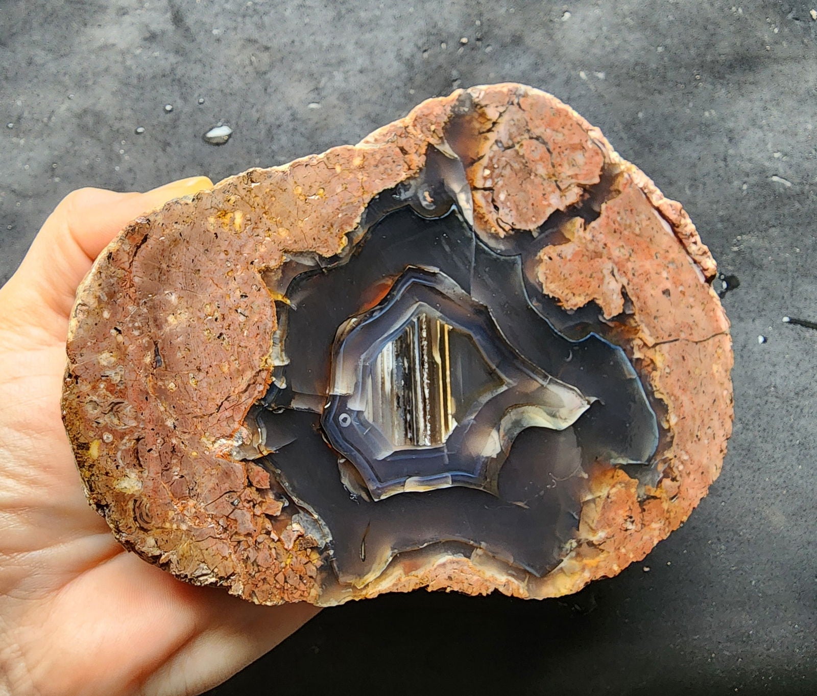 Waterline Thunderegg - We❤️Rocks