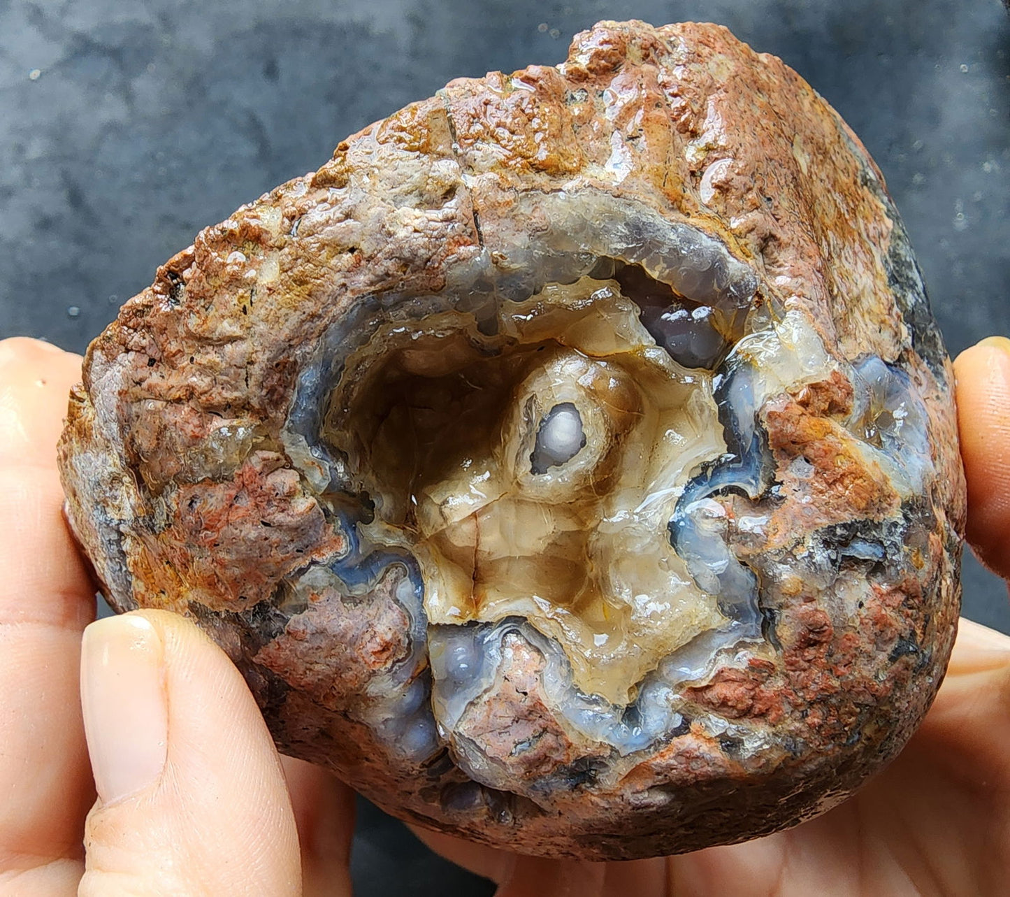 Waterline Thunderegg - We❤️Rocks