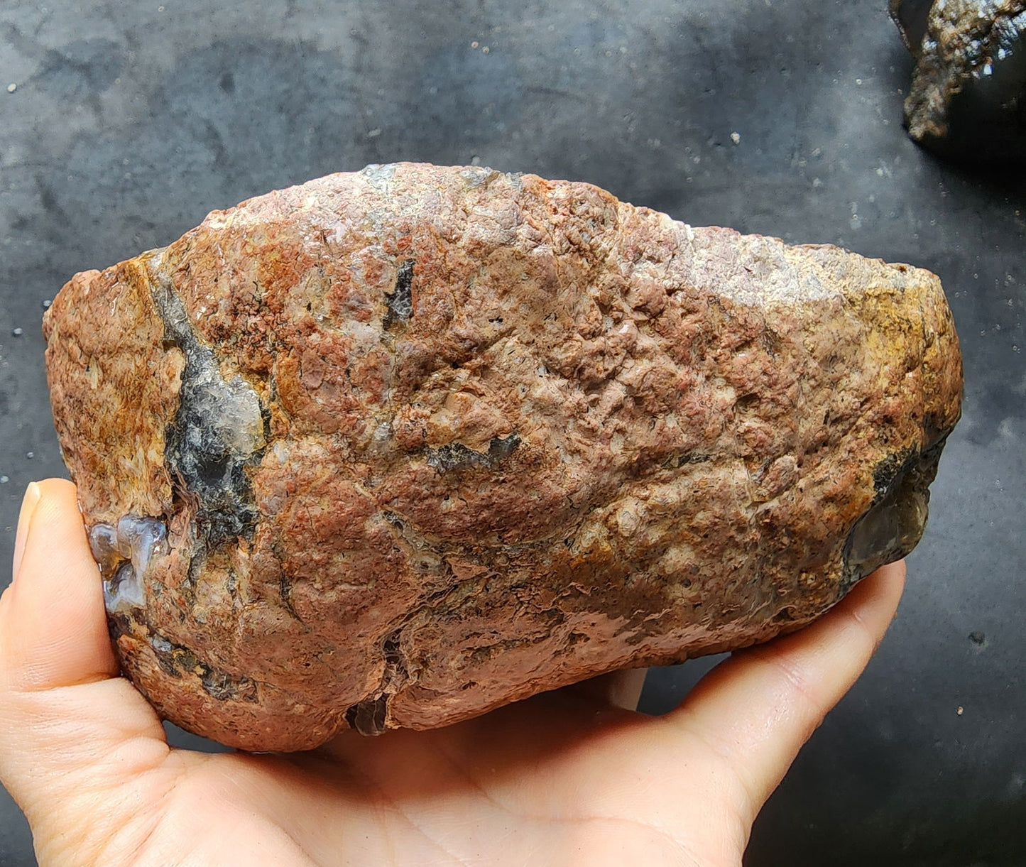 Waterline Thunderegg - We❤️Rocks