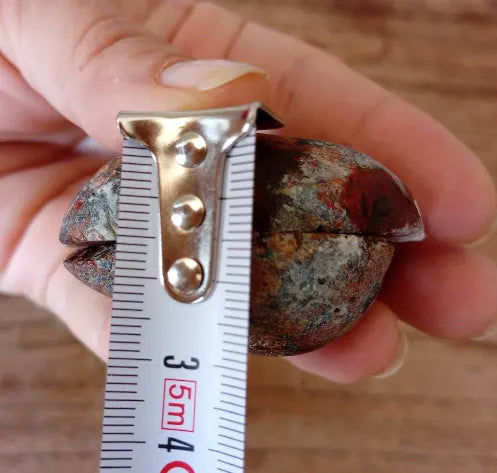 Stromatolite Fossil Agate