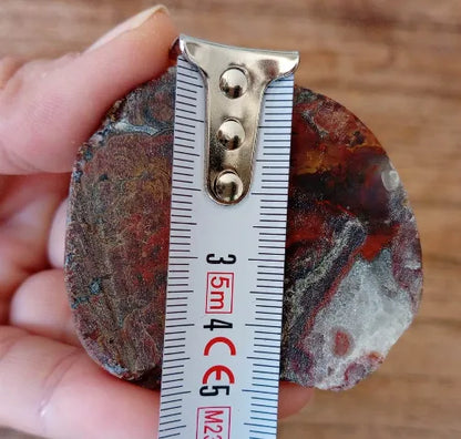 Stromatolite Fossil Agate