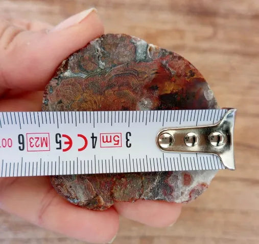 Stromatolite Fossil Agate