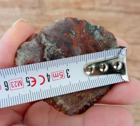 Stromatolite Fossil Agate