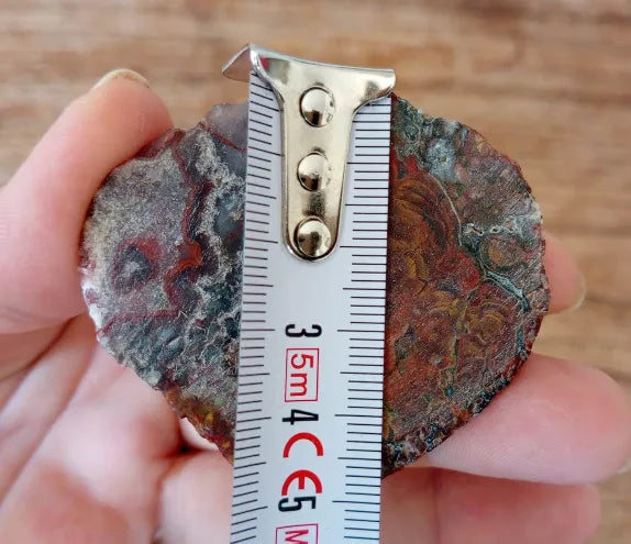 Stromatolite Fossil Agate