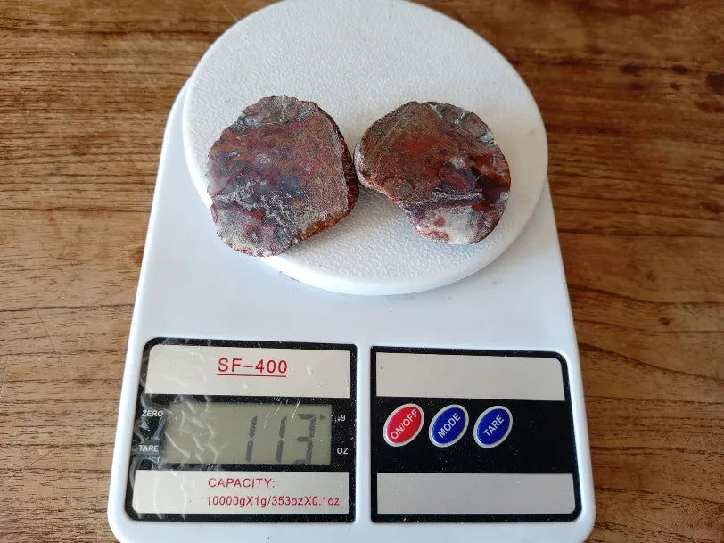 Stromatolite Fossil Agate