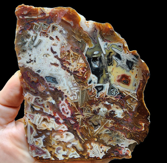 Abstract Agate Slice