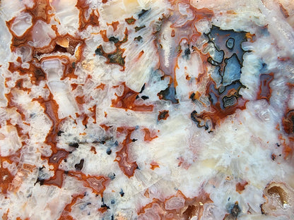 Agate Slice Lot