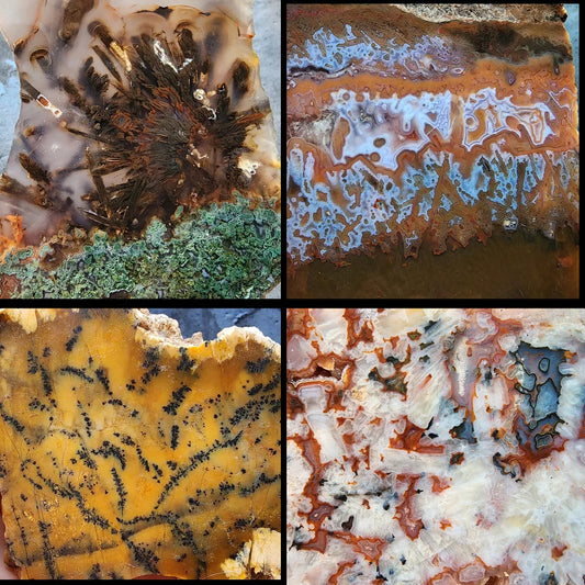 Agate Slice Lot