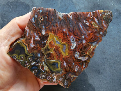 Lapidary Slabs